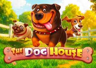 pgk44 รีวิว The Dog House ทดลองเล่นฟรี